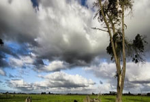 开云体育-门迪之夜，抢七战中的隐形守护神