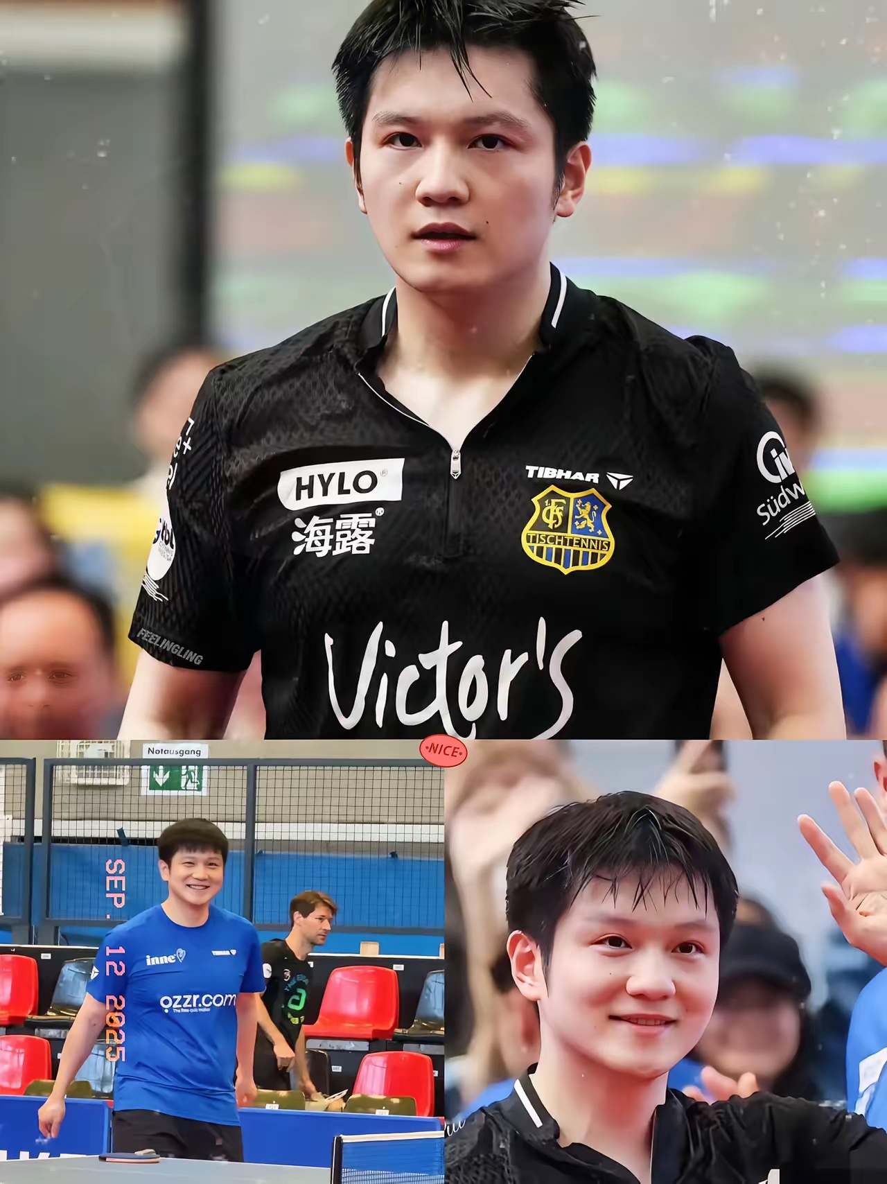 英国乒乓球队横扫波兰乒乓球队,王皓惊艳世界 英国乒乓球队横扫波兰乒乓球队,王皓惊艳世界